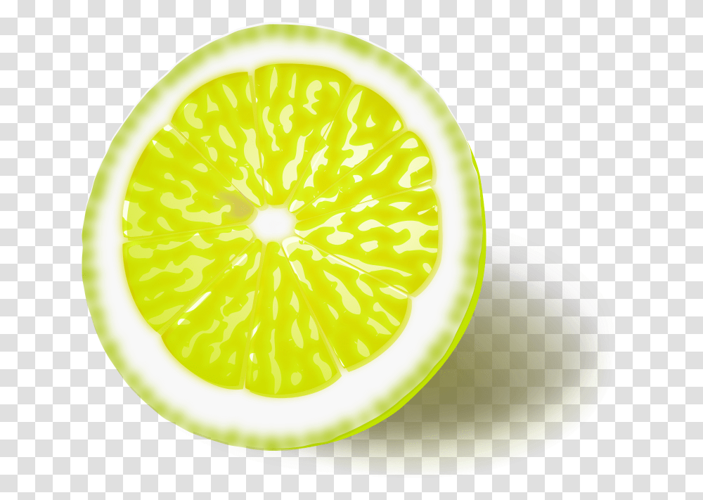 Lemon, Citrus Fruit, Plant, Food, Lime Transparent Png