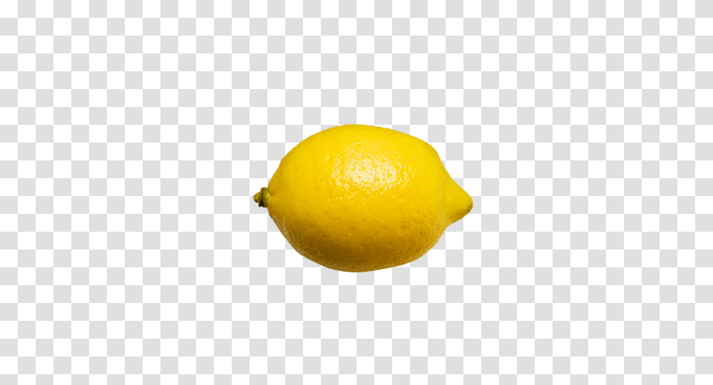 Lemon, Citrus Fruit, Plant, Food, Orange Transparent Png