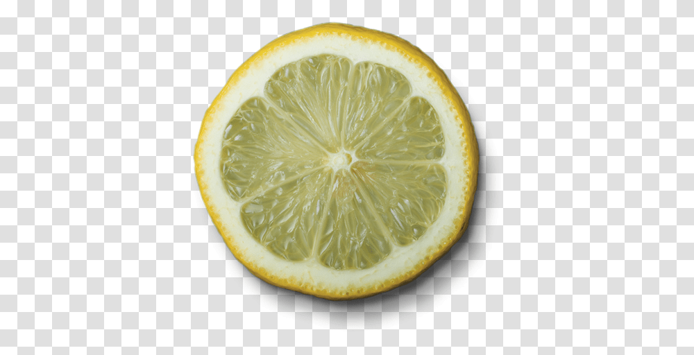 Lemon, Citrus Fruit, Plant, Food, Orange Transparent Png