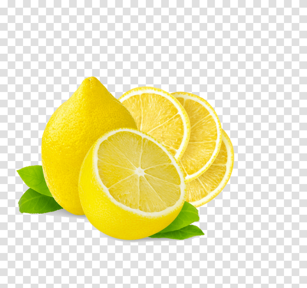 Lemon Clip Art Nicubunu Clipart House, Citrus Fruit, Plant, Food Transparent Png