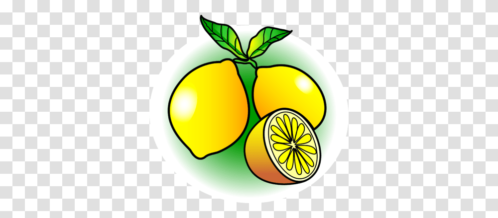 Lemon Clip Art, Plant, Citrus Fruit, Food, Orange Transparent Png