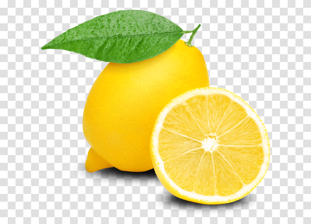 Lemon Clipart Clear Background Lemon Clipart, Citrus Fruit, Plant, Food, Grapefruit Transparent Png