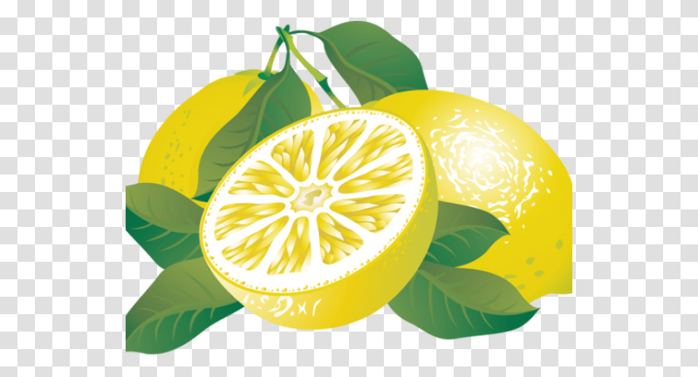 Lemon Clipart Lemon Clipart, Plant, Citrus Fruit, Food Transparent Png