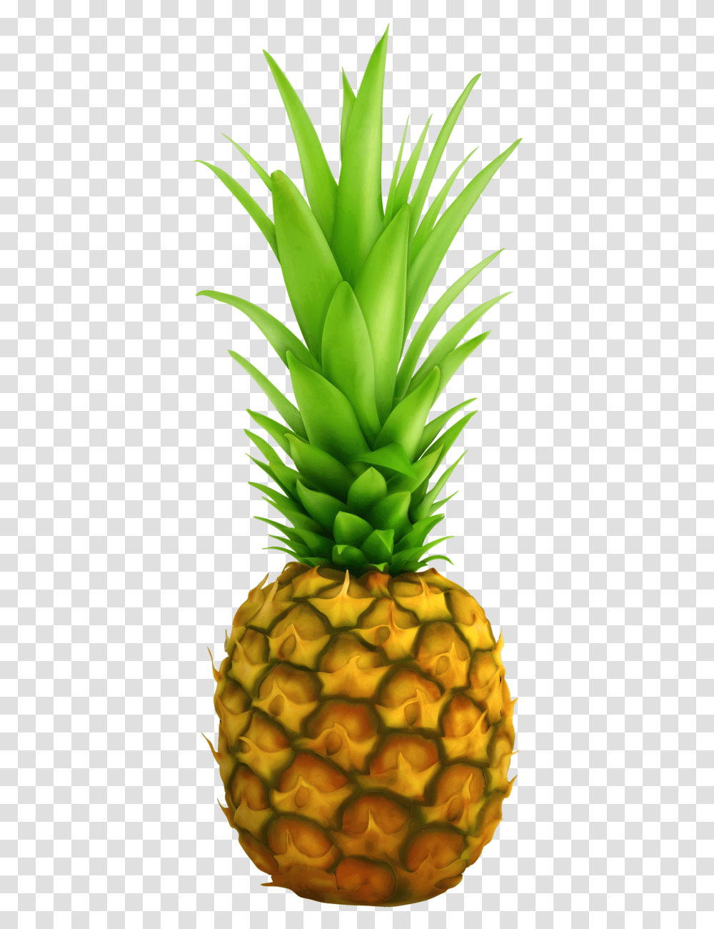 Lemon Clipart Pineapple Free Pineapple Clear Background, Fruit, Plant, Food Transparent Png