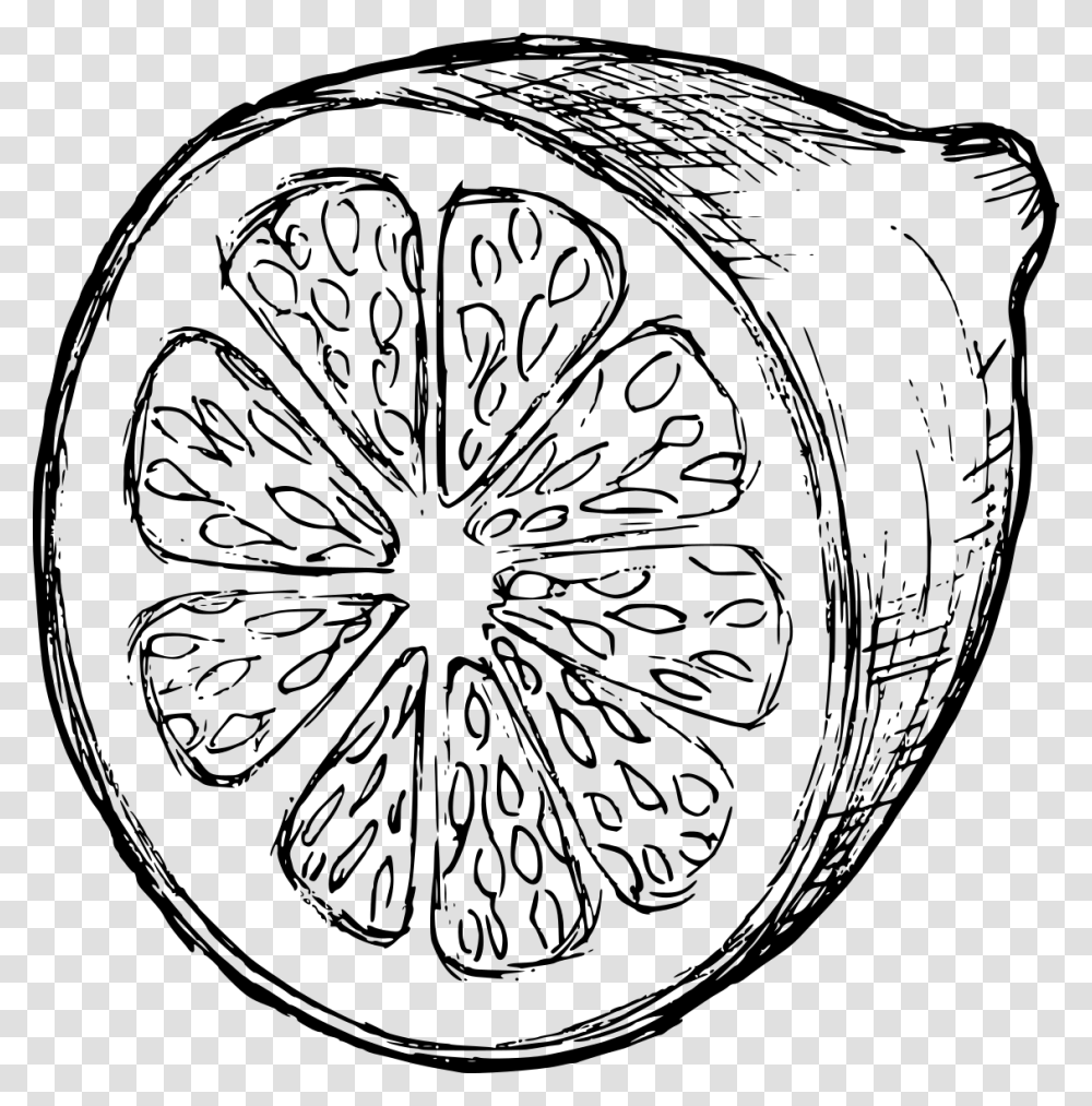 Lemon Drawing 1 Circle, Gray, World Of Warcraft Transparent Png