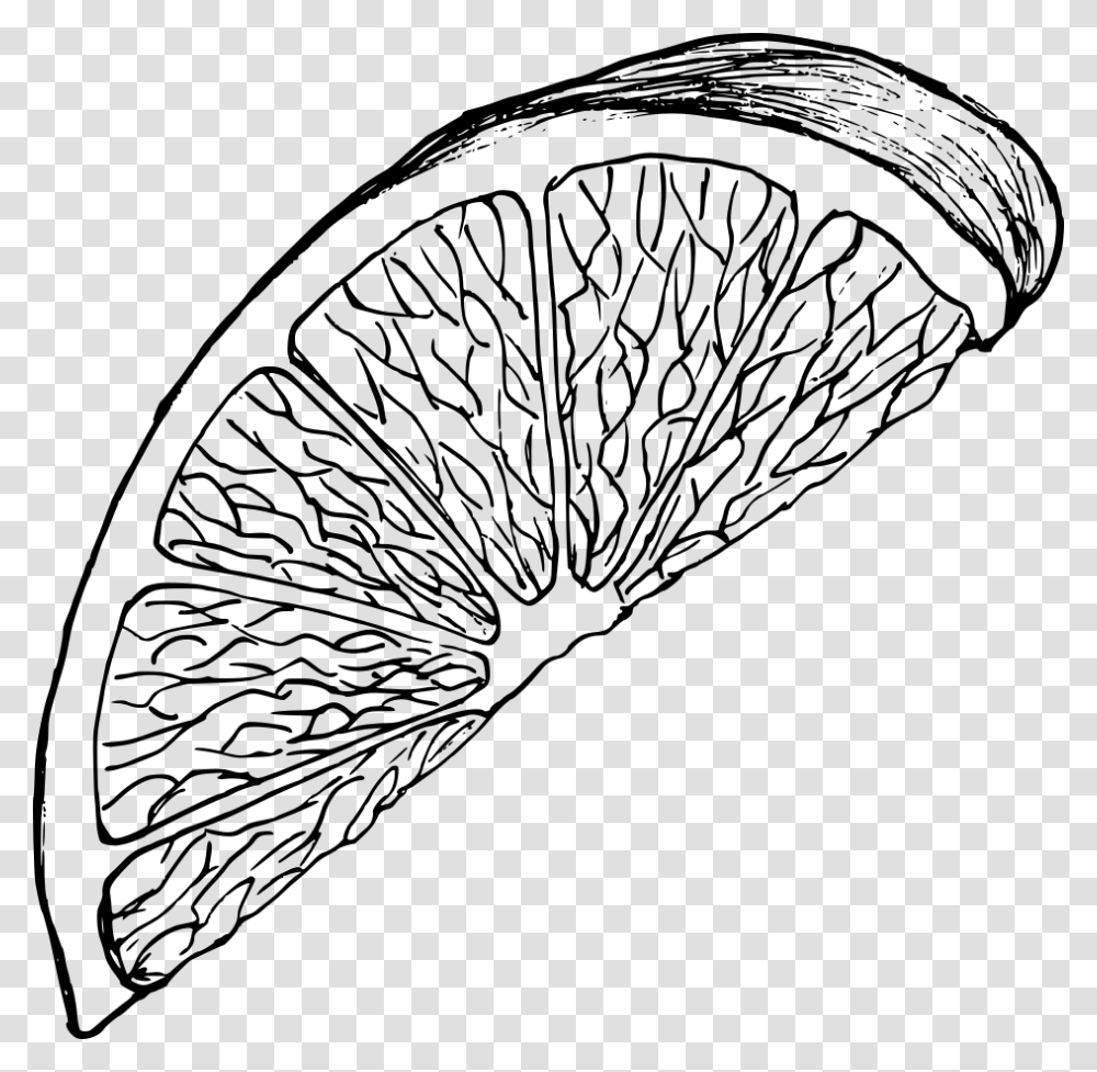 Lemon Drawing 3 Line Art, Gray, World Of Warcraft Transparent Png