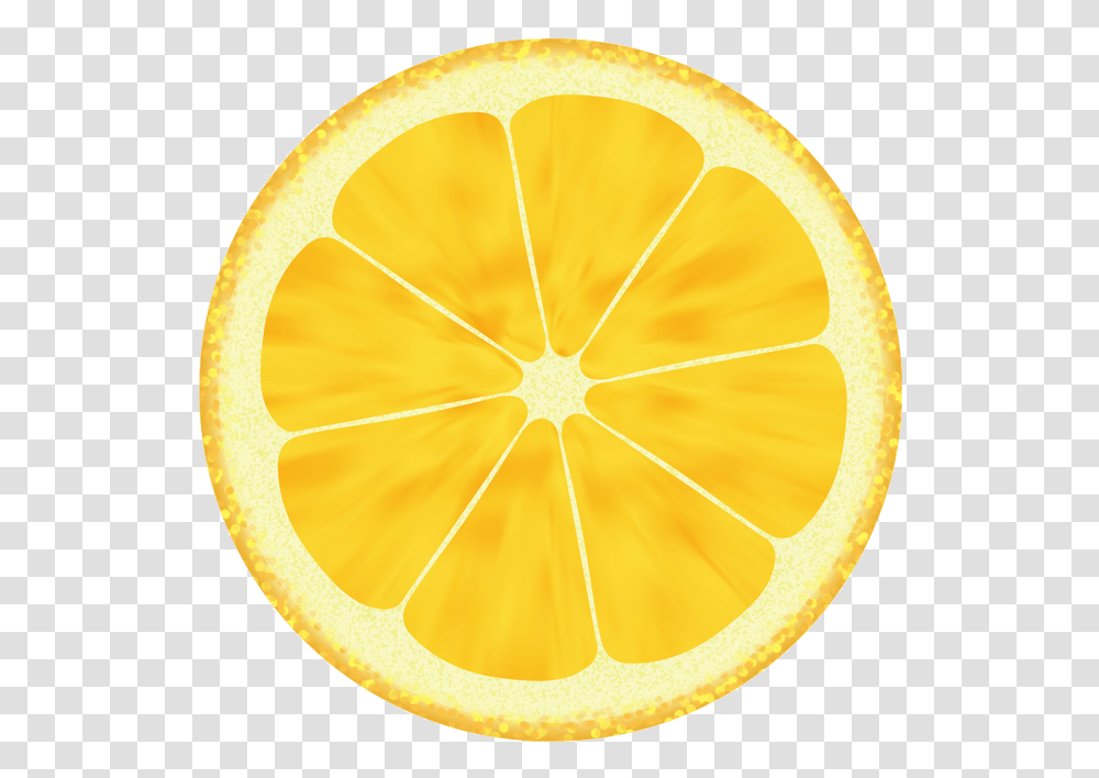 Lemon Drawing Clip Art Others Download 920736 Lemon Slice Drawing, Plant, Citrus Fruit, Food, Tennis Ball Transparent Png