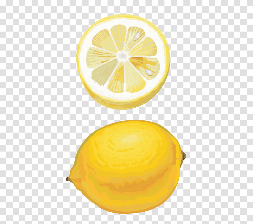 Lemon Drawing Cut, Citrus Fruit, Plant, Food Transparent Png