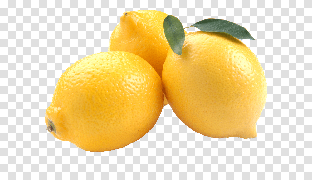 Lemon File Fresh Lemons, Citrus Fruit, Plant, Food, Orange Transparent Png