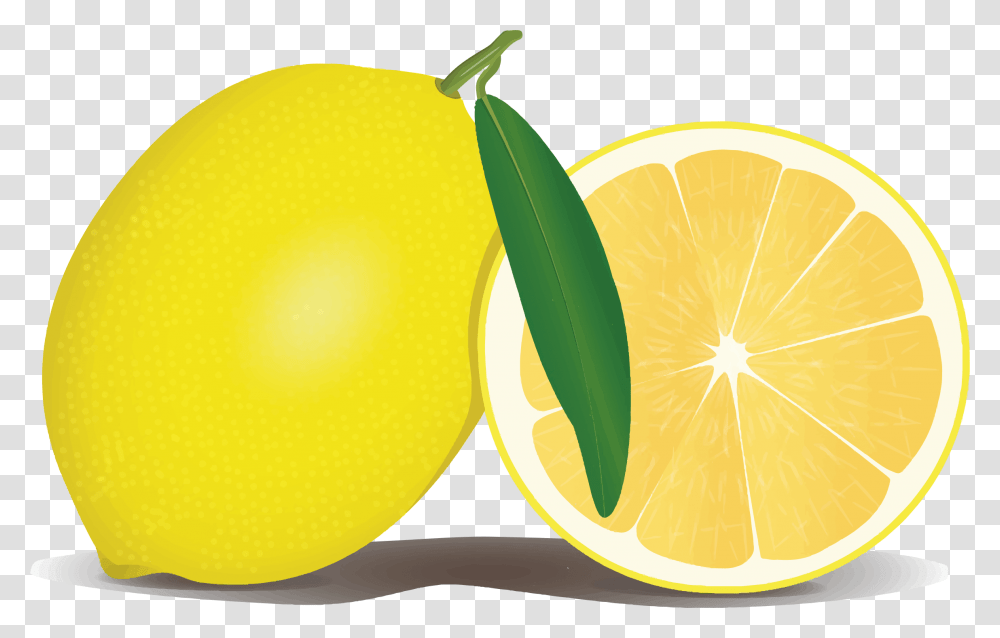 Lemon File Lemon Clipart, Citrus Fruit, Plant, Food, Grapefruit Transparent Png