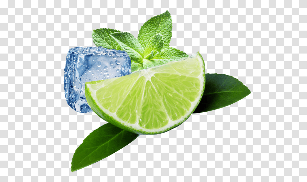 Lemon Free Ice Mint, Lime, Citrus Fruit, Plant, Food Transparent Png