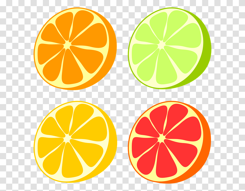 Lemon Fruit Cartoon Grapefruit Orange Lemon And Lime, Citrus Fruit, Plant, Food, Produce Transparent Png