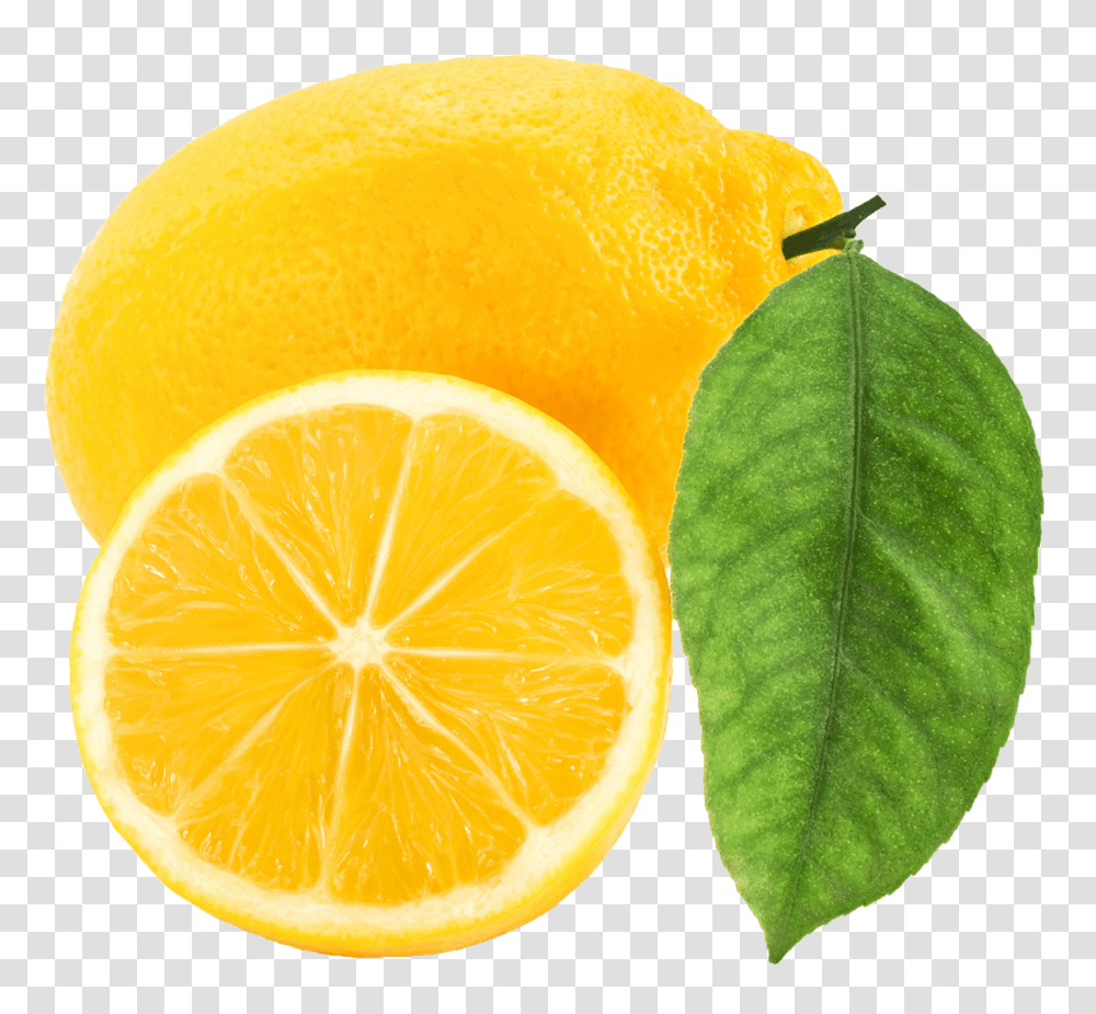 Lemon, Fruit, Citrus Fruit, Plant, Food Transparent Png