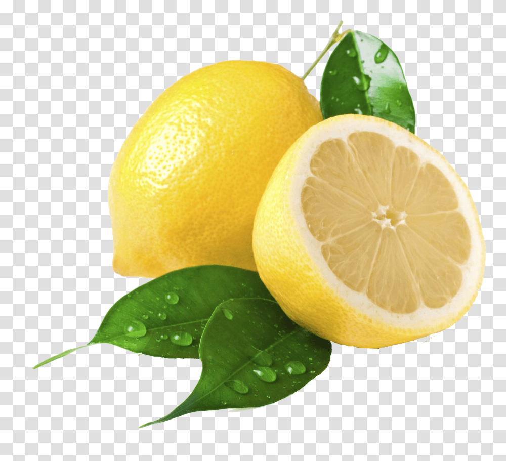 Lemon, Fruit, Citrus Fruit, Plant, Food Transparent Png