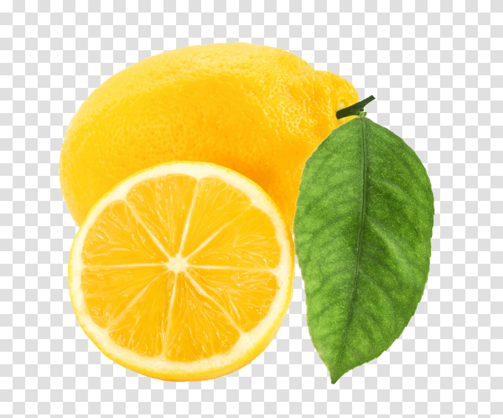 Lemon, Fruit, Citrus Fruit, Plant, Food Transparent Png