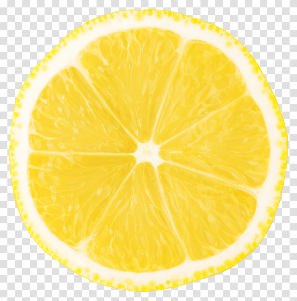 Lemon, Fruit, Citrus Fruit, Plant, Food Transparent Png