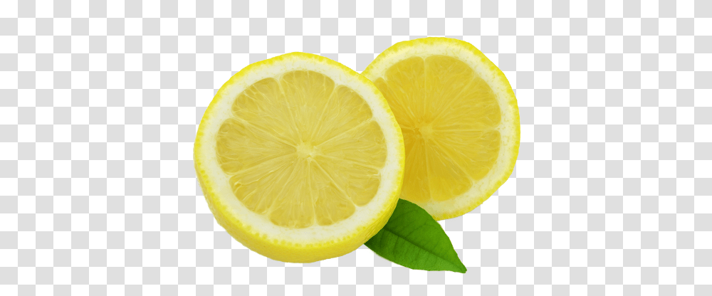 Lemon, Fruit, Citrus Fruit, Plant, Food Transparent Png