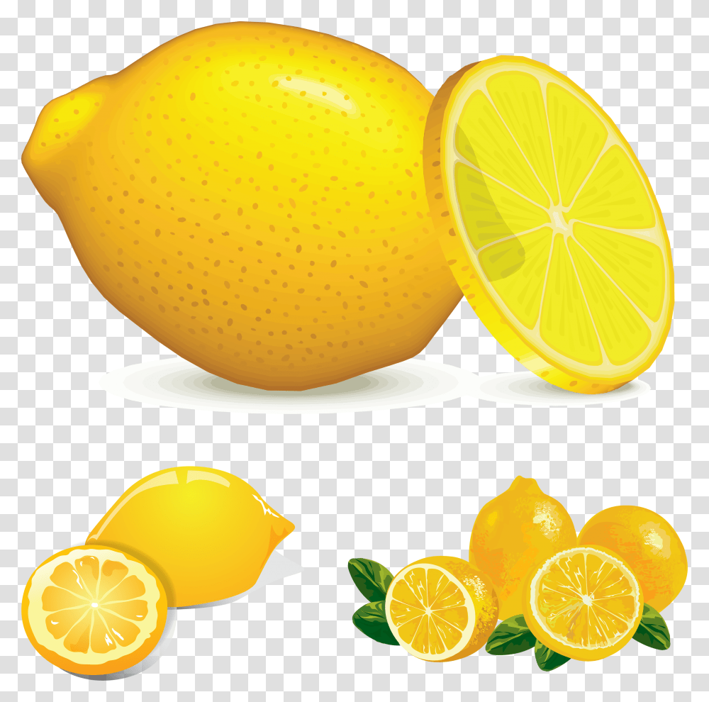 Lemon, Fruit, Citrus Fruit, Plant, Food Transparent Png