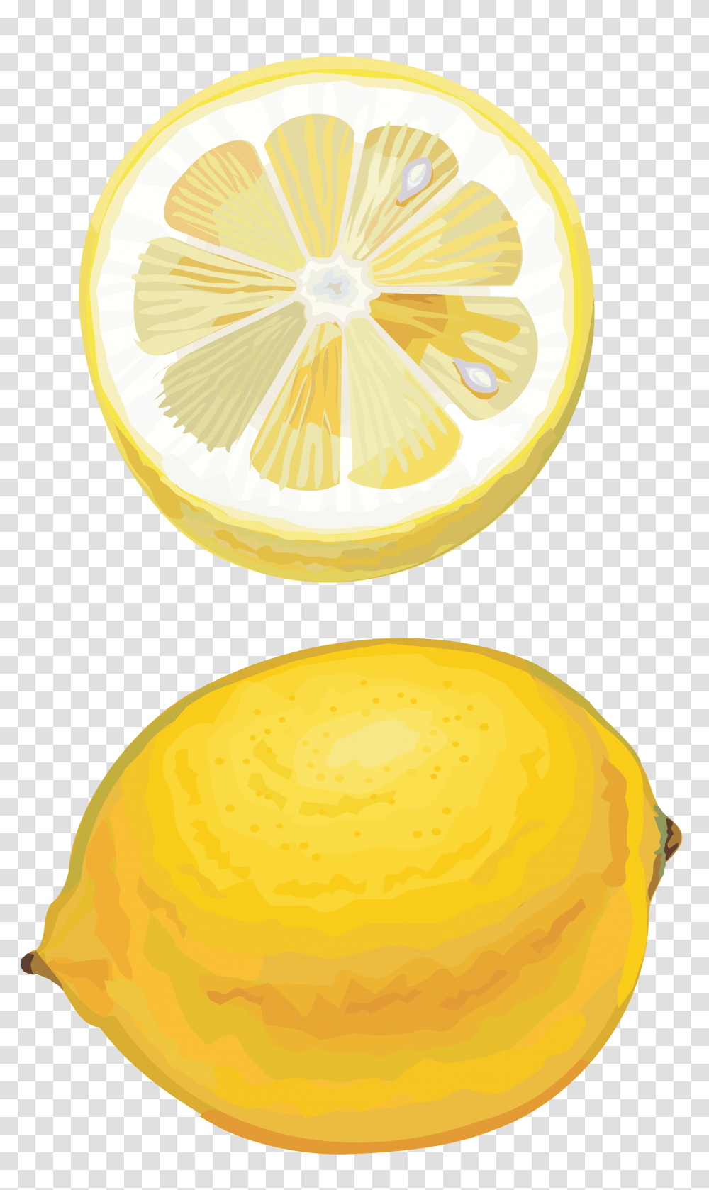 Lemon, Fruit, Plant, Citrus Fruit, Food Transparent Png