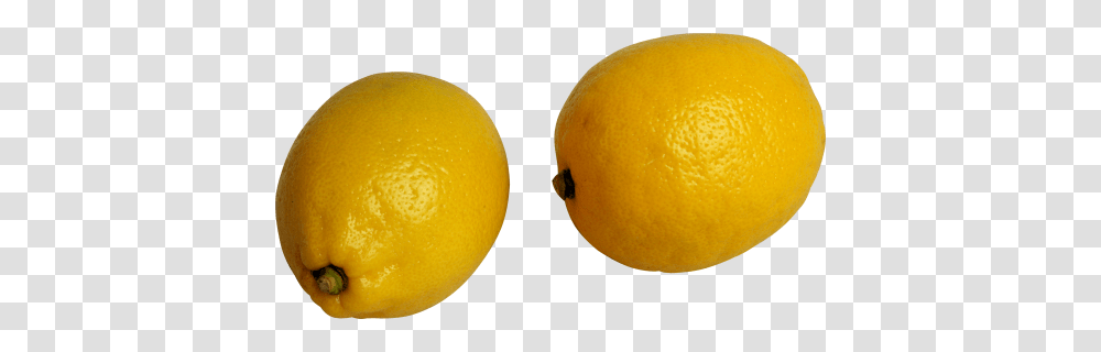 Lemon, Fruit, Plant, Citrus Fruit, Food Transparent Png