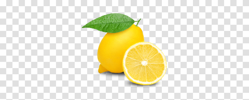 Lemon, Fruit, Plant, Citrus Fruit, Food Transparent Png