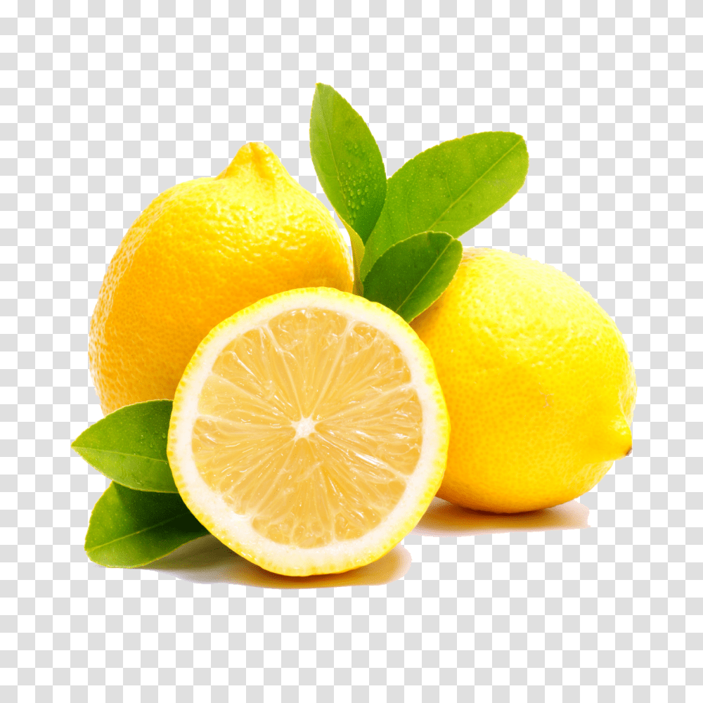 Lemon, Fruit, Plant, Citrus Fruit, Food Transparent Png