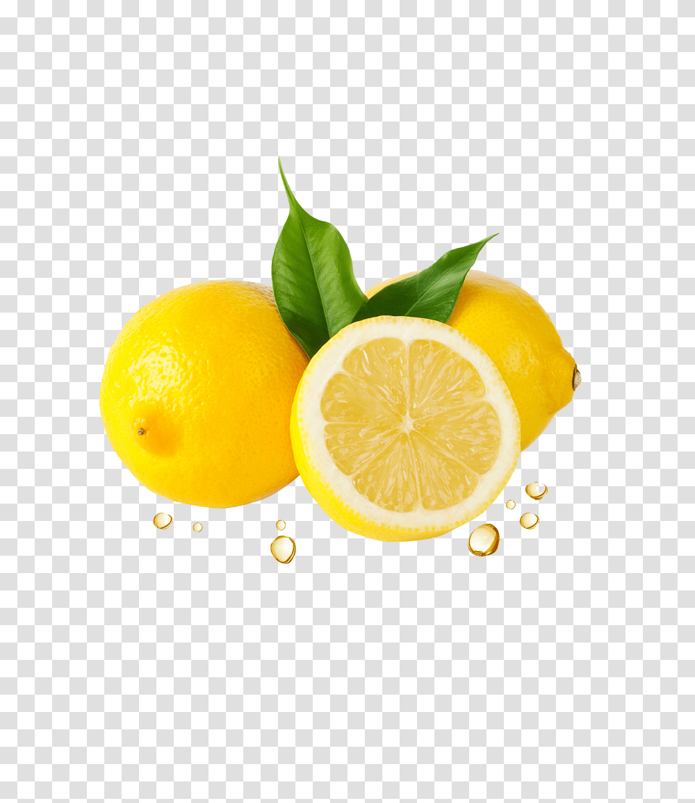 Lemon, Fruit, Plant, Citrus Fruit, Food Transparent Png