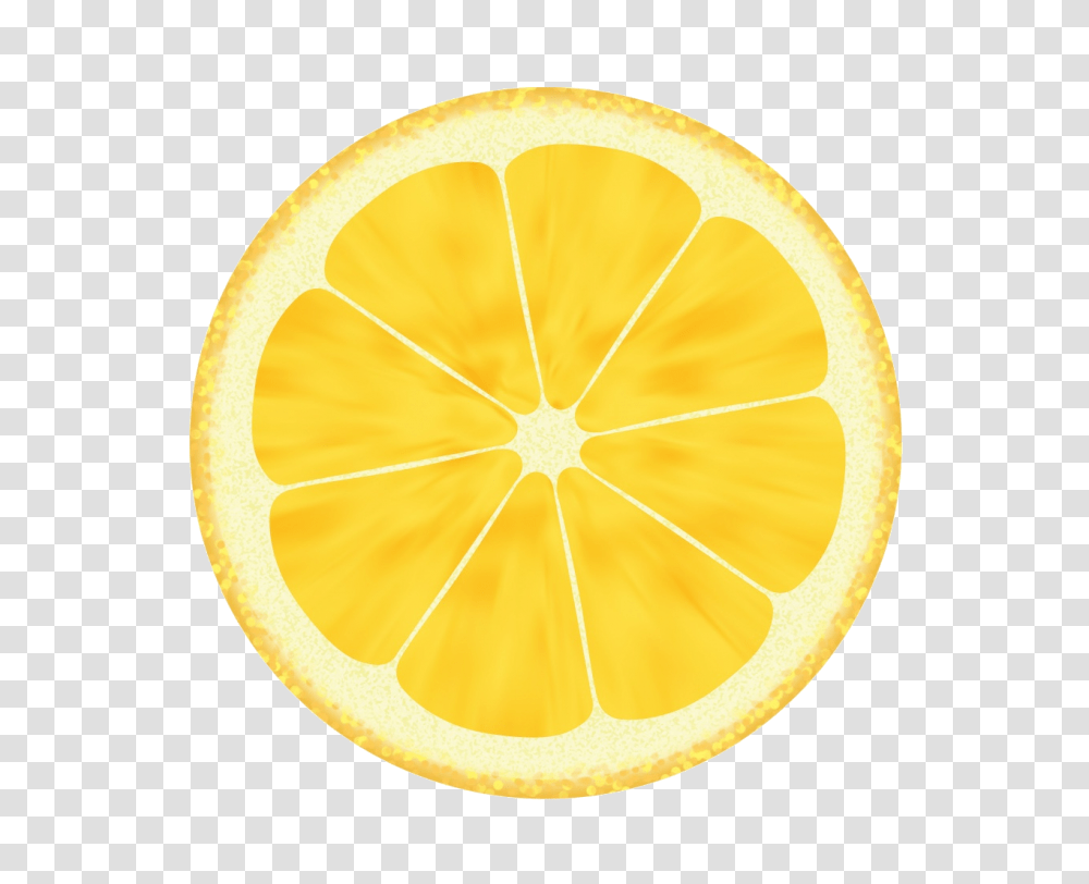 Lemon, Fruit, Plant, Citrus Fruit, Food Transparent Png