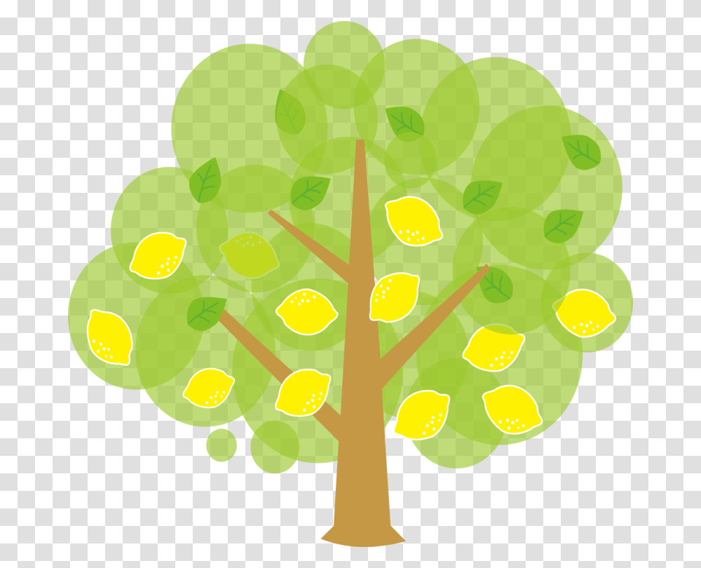 Lemon Fruit Tree Orchard, Plant, Leaf, Vegetable, Food Transparent Png