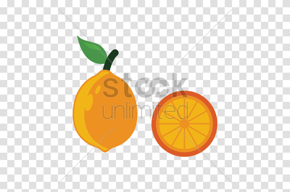 Lemon Fruit Vector Image, Plant, Food, Dynamite, Bomb Transparent Png