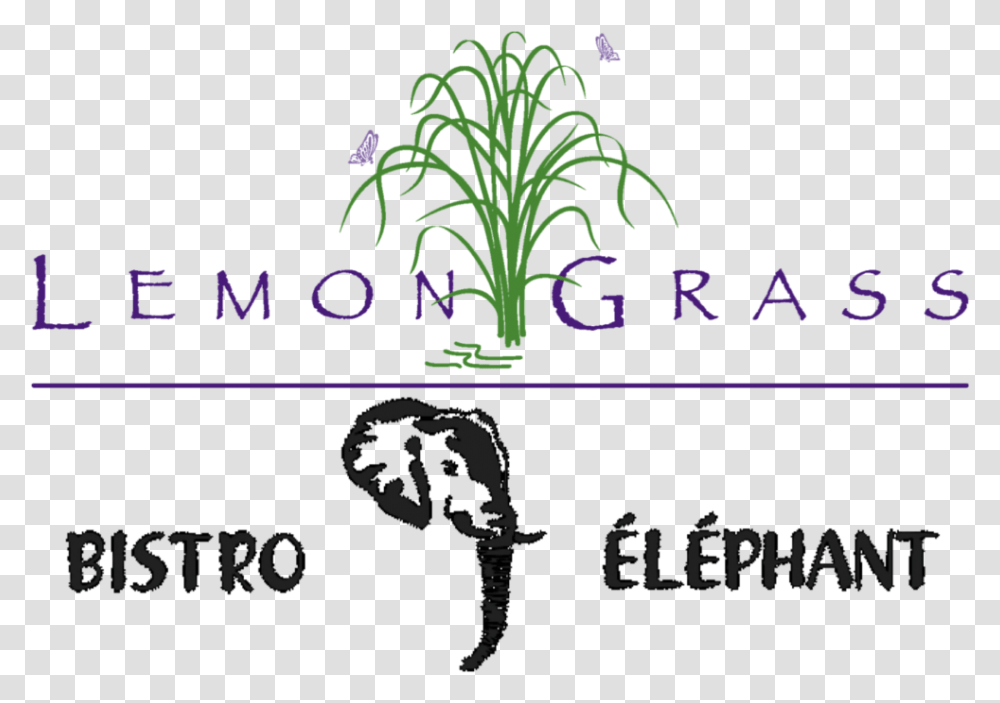 Lemon Grass Amp Bistro Elephant Steakhouse Grass, Alphabet Transparent Png
