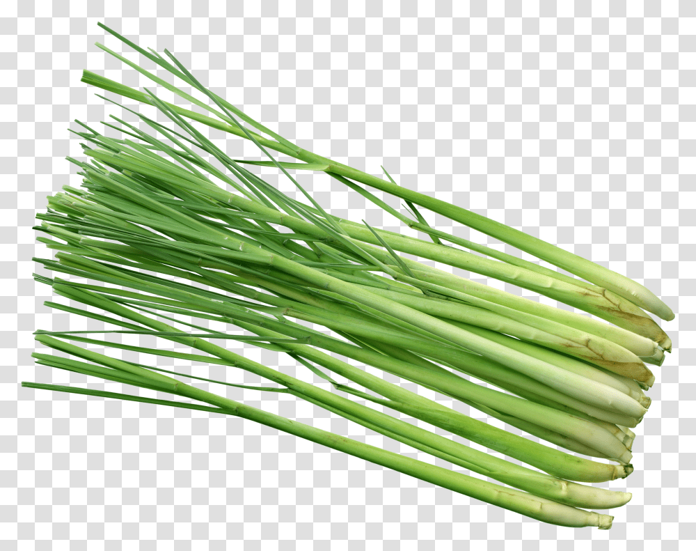 Lemon Grass Hd Transparent Png