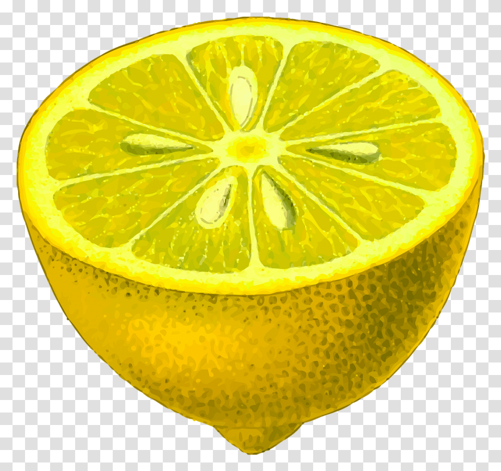 Lemon Half Clipart, Citrus Fruit, Plant, Food, Lime Transparent Png