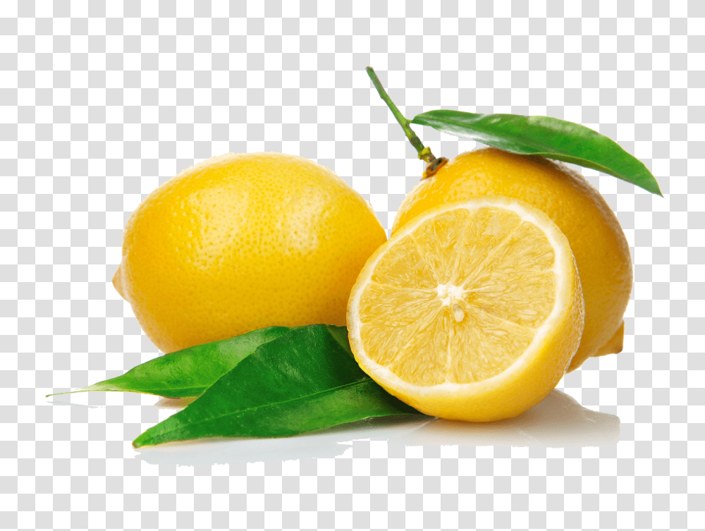 Lemon Hd Lemon Hd Images, Citrus Fruit, Plant, Food, Orange Transparent Png