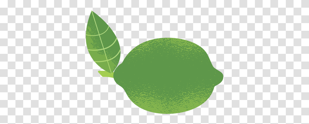 Lemon Illustration Texture & Svg Vector File Tree, Tennis Ball, Sport, Sports, Plant Transparent Png