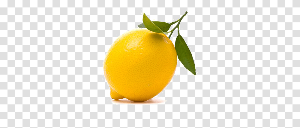 Lemon Image 14 Weeks Pregnant Size Of Baby, Tennis Ball, Sport, Sports, Citrus Fruit Transparent Png