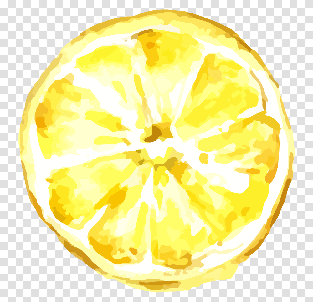 Lemon Image Amp Lemon Clipart Lemon Illustration, Citrus Fruit, Plant, Food, Grapefruit Transparent Png