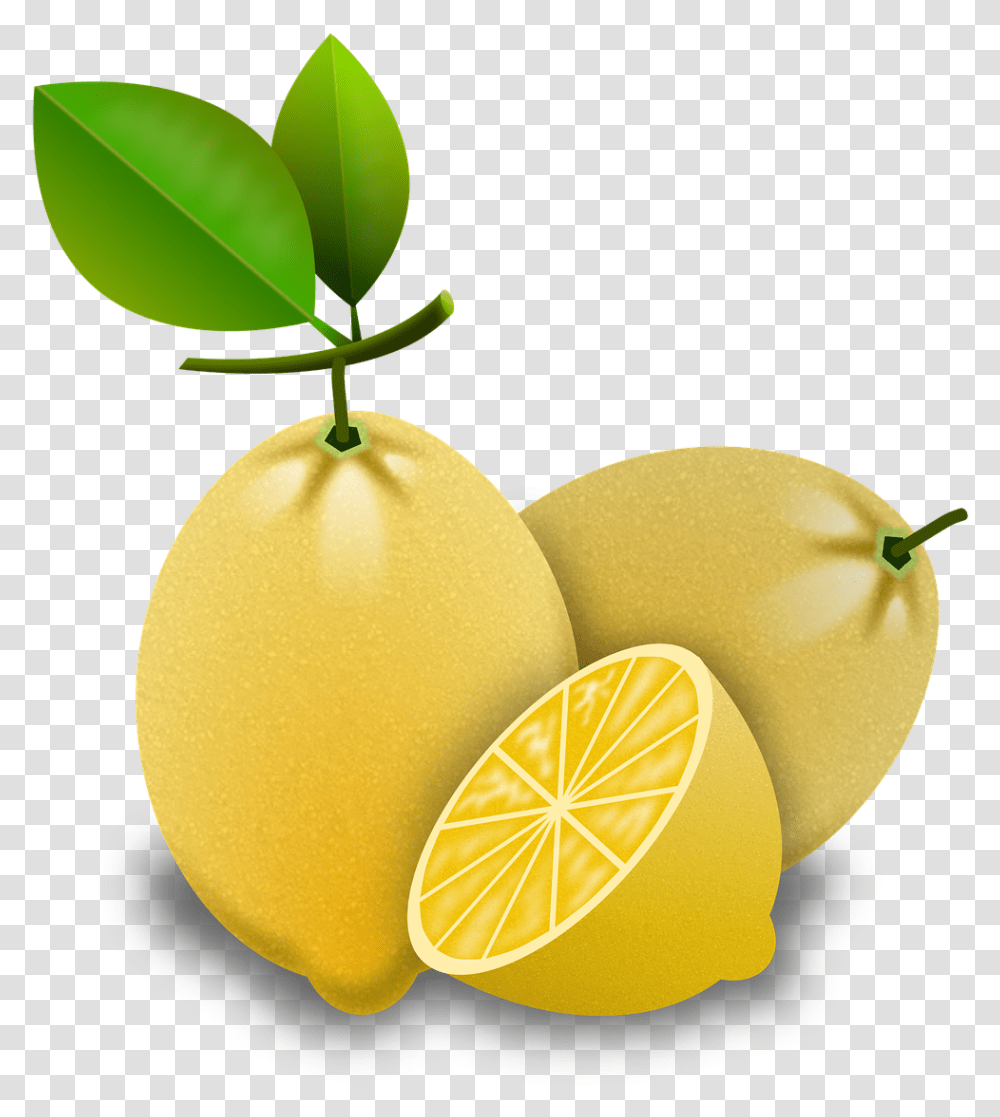 Lemon Image Citroenen, Plant, Fruit, Food, Citrus Fruit Transparent Png