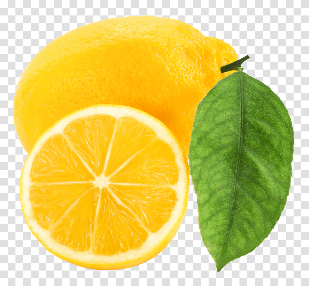 Lemon Image Lemon Clipart, Citrus Fruit, Plant, Food, Orange Transparent Png