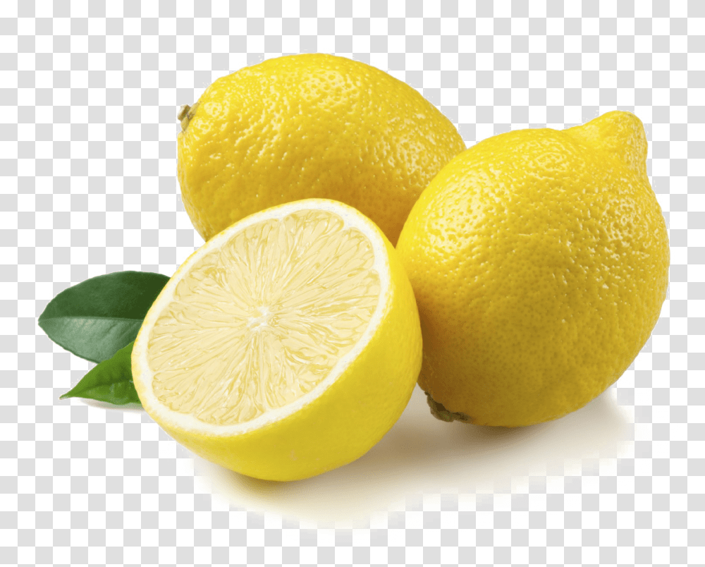 Lemon Images Lemon, Plant, Citrus Fruit, Food, Orange Transparent Png