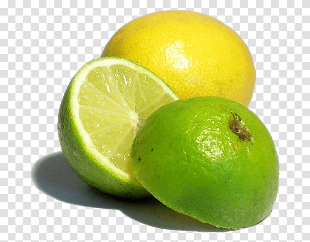 Lemon Juice Clipart Green And Yellow Lemons, Lime, Citrus Fruit, Plant, Food Transparent Png