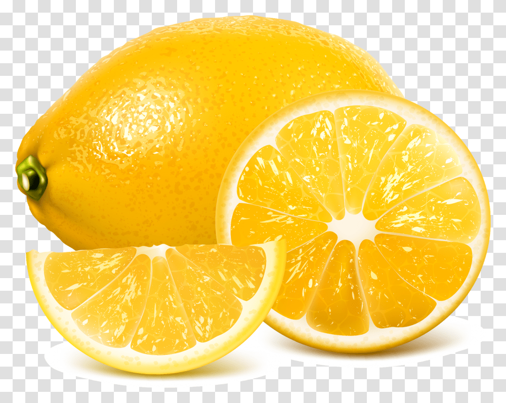 Lemon Juice Clipart Realistic Lemon Vector, Plant, Citrus Fruit, Food, Orange Transparent Png