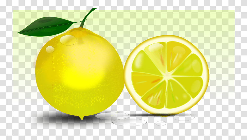 Lemon Large Size, Plant, Citrus Fruit, Food, Produce Transparent Png