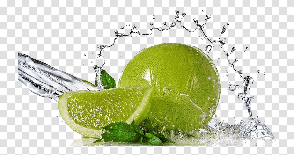 Lemon Lime Background, Plant, Citrus Fruit, Food, Potted Plant Transparent Png