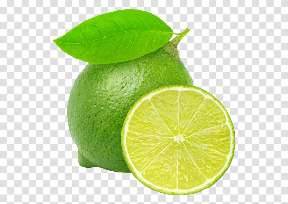 Lemon Lime, Citrus Fruit, Plant, Food, Tennis Ball Transparent Png