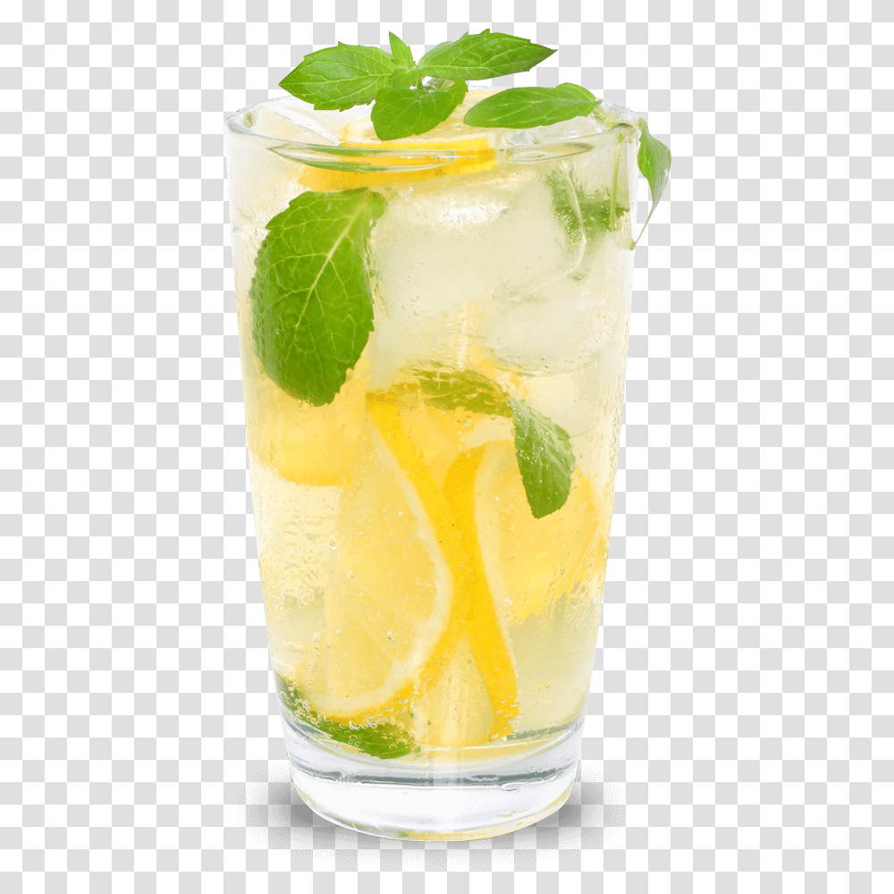 Lemon Lime Hd Mojito, Potted Plant, Vase, Jar, Pottery Transparent Png