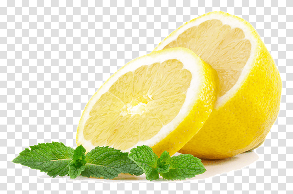 Lemon Lime Sliced Lemon Background, Potted Plant, Vase, Jar, Pottery Transparent Png