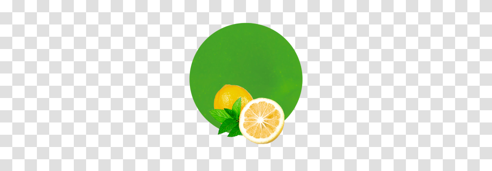 Lemon Mint Concentrate, Citrus Fruit, Plant, Food, Beverage Transparent Png
