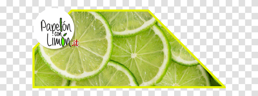 Lemon Papelnconlimnit Color Is A Lime, Citrus Fruit, Plant, Food Transparent Png