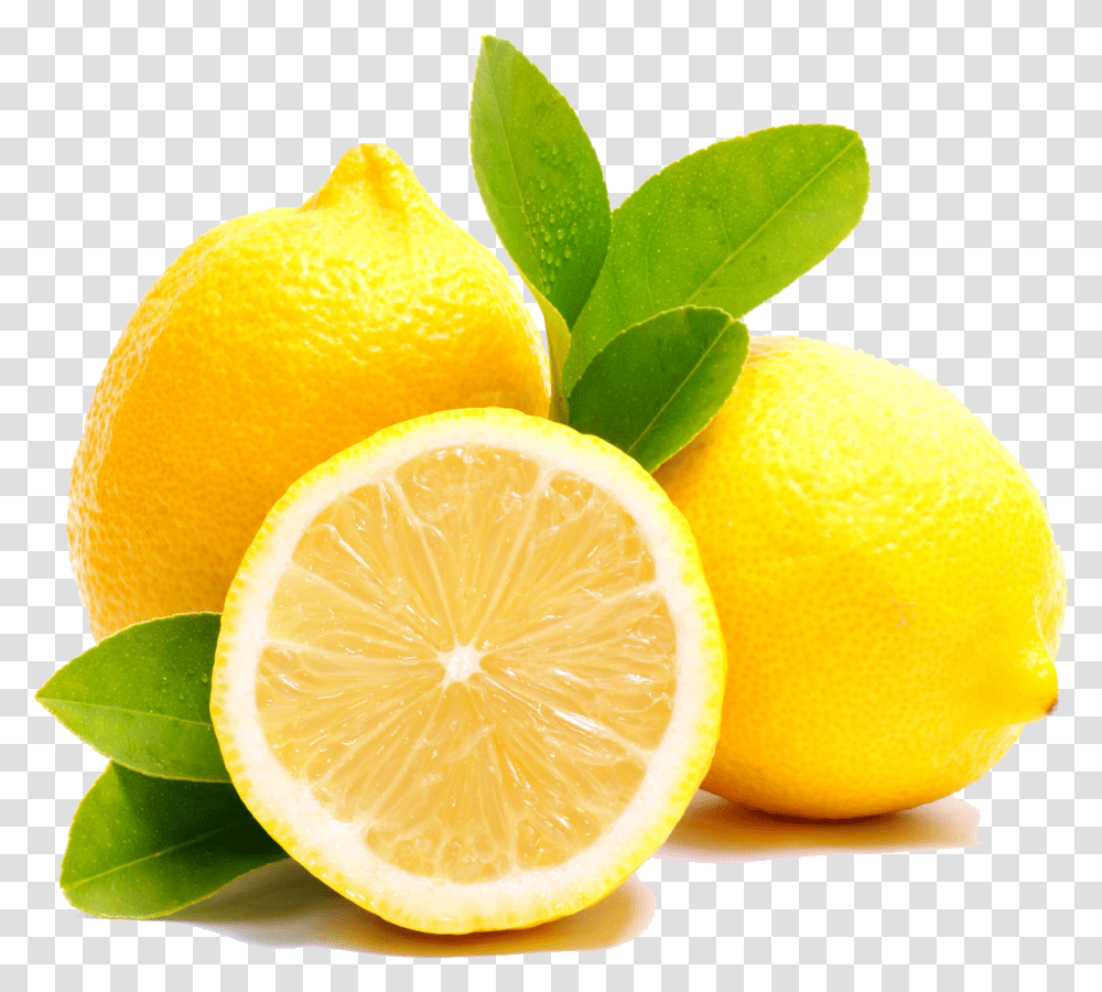 Lemon, Plant, Citrus Fruit, Food, Orange Transparent Png